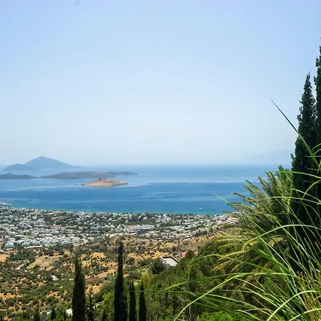 别墅 5Br Villa With Private Pool And Aegean Views 博德鲁姆